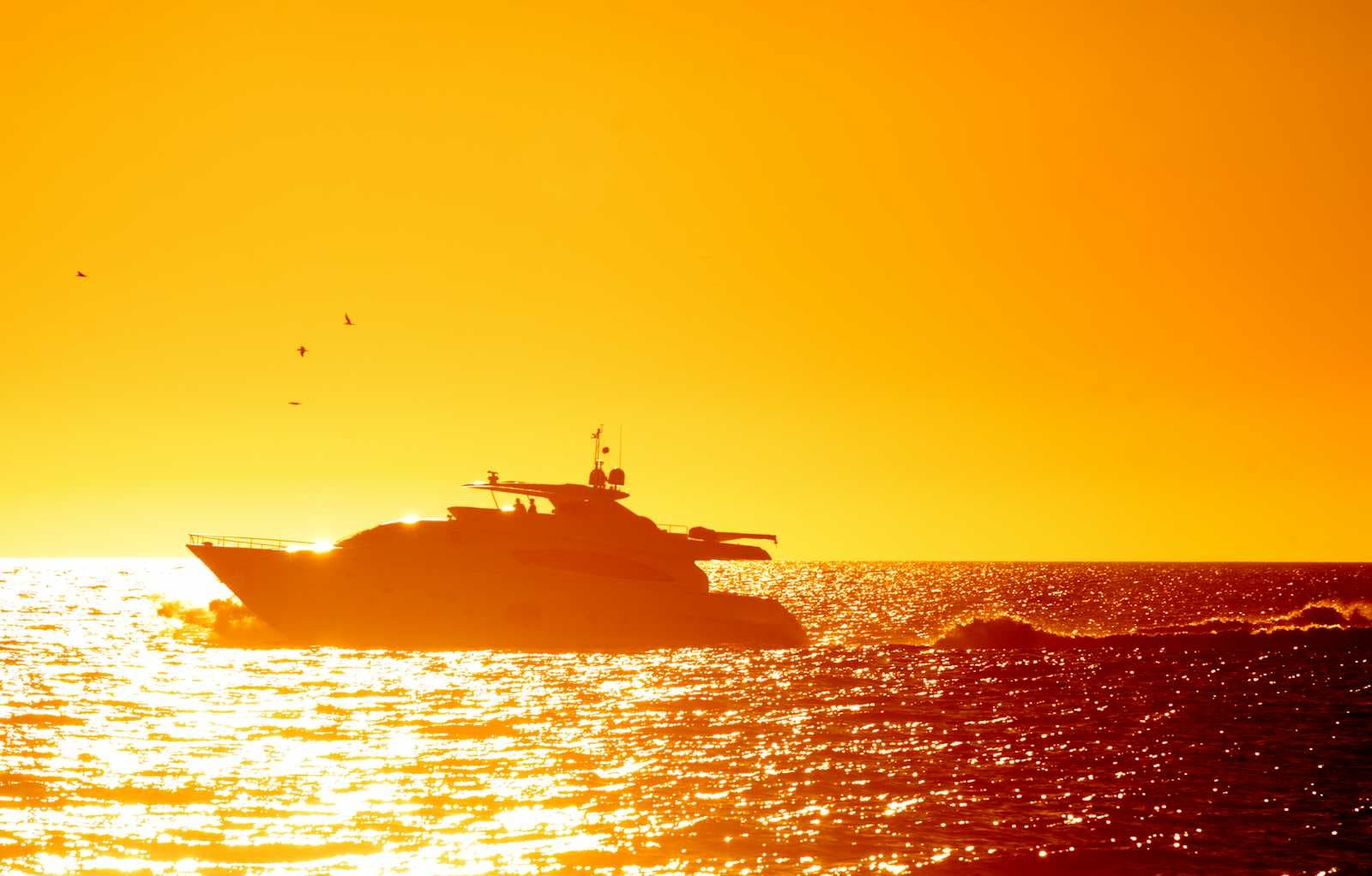 The Other Side of Money