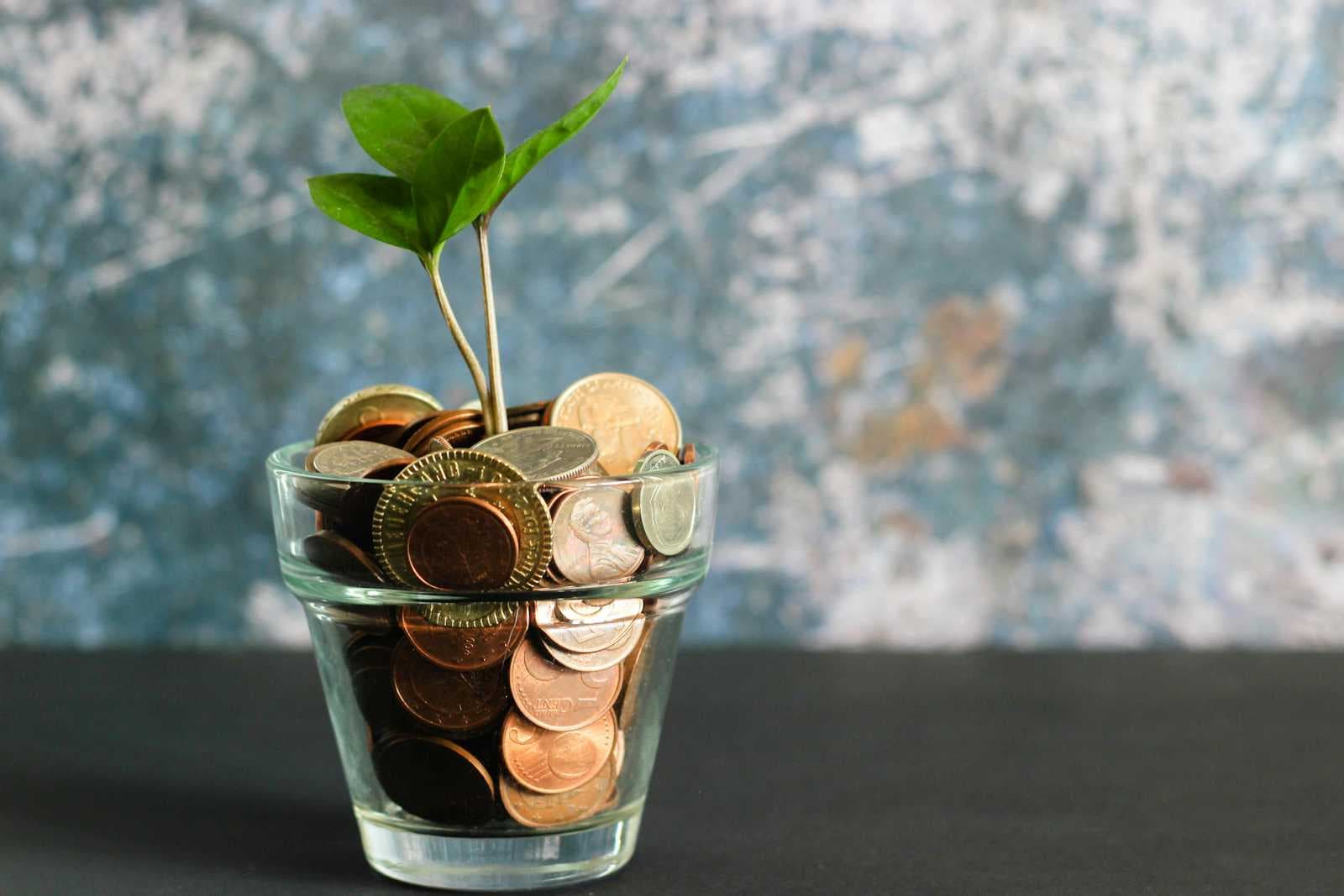 Getting to the Root of Money: Unpacking Your Relationship with Wealth
