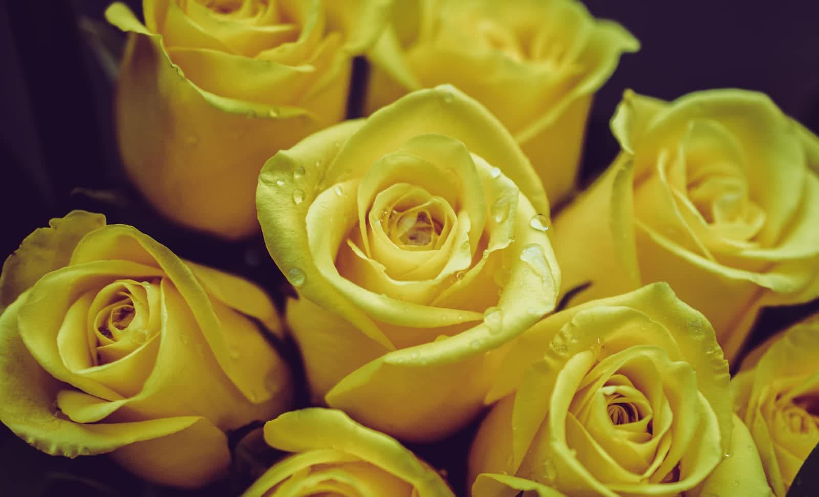 The Other Side of Death Is Life